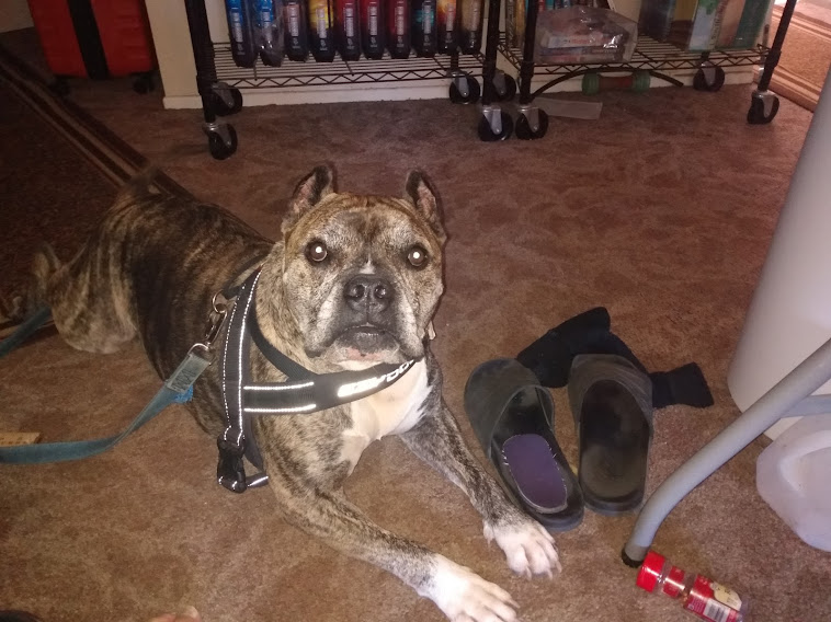 Zeke